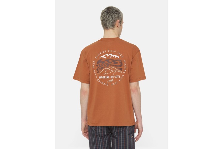 Dickies Stanardsville T-Shirt - Light Brown